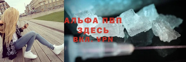 ПСИЛОЦИБИНОВЫЕ ГРИБЫ Горно-Алтайск