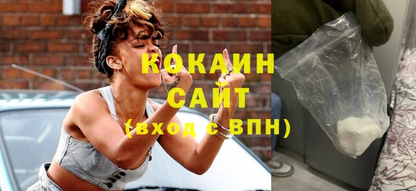 ПСИЛОЦИБИНОВЫЕ ГРИБЫ Горно-Алтайск