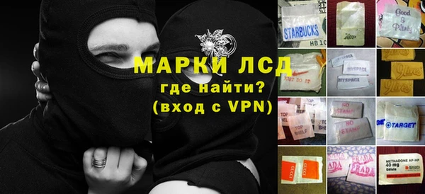 ПСИЛОЦИБИНОВЫЕ ГРИБЫ Горно-Алтайск