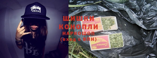ПСИЛОЦИБИНОВЫЕ ГРИБЫ Горно-Алтайск